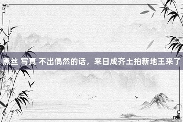 黑丝 写真 不出偶然的话,来日成齐土拍新地王来了