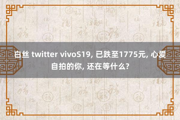 白丝 twitter vivoS19， 已跌至1775元， 心爱自拍的你， 还在等什么?