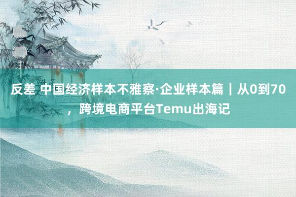 反差 中国经济样本不雅察·企业样本篇｜从0到70，跨境电商平台Temu出海记