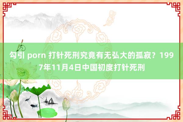 勾引 porn 打针死刑究竟有无弘大的孤寂？1997年11月4日中国初度打针死刑