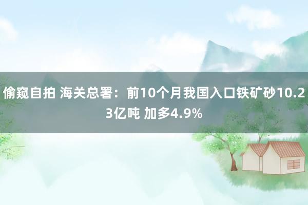 偷窥自拍 海关总署：前10个月我国入口铁矿砂10.23亿吨 加多4.9%