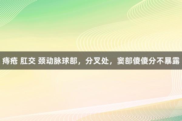 痔疮 肛交 颈动脉球部，分叉处，窦部傻傻分不暴露
