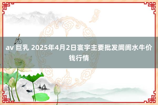 av 巨乳 2025年4月2日寰宇主要批发阛阓水牛价钱行情