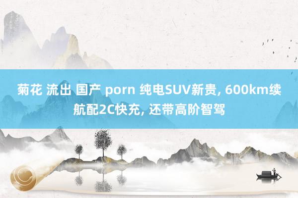 菊花 流出 国产 porn 纯电SUV新贵， 600km续航配2C快充， 还带高阶智驾