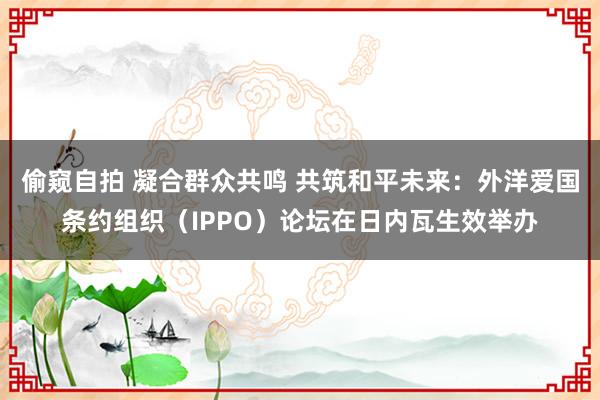 偷窥自拍 凝合群众共鸣 共筑和平未来：外洋爱国条约组织（IPPO）论坛在日内瓦生效举办