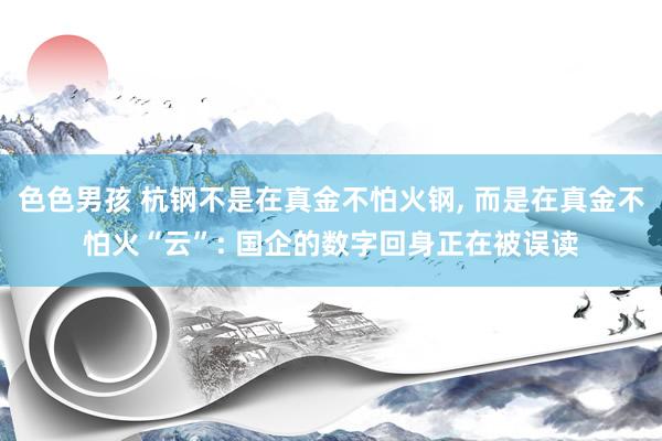 色色男孩 杭钢不是在真金不怕火钢， 而是在真金不怕火“云”: 国企的数字回身正在被误读