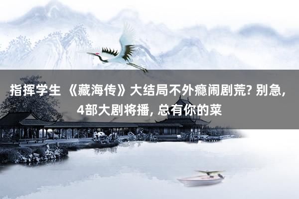 指挥学生 《藏海传》大结局不外瘾闹剧荒? 别急， 4部大剧将播， 总有你的菜