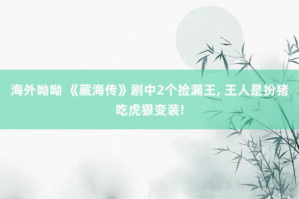 海外呦呦 《藏海传》剧中2个捡漏王， 王人是扮猪吃虎狠变装!